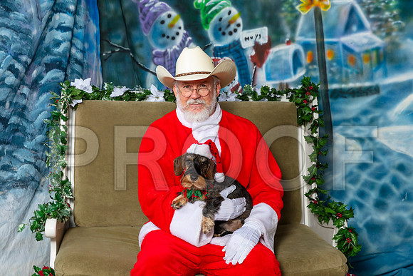 Dachshund Cathy Smith Thur–_SR_5628-Dallas2019-HR3