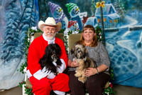 Havanese Tammy Thurs