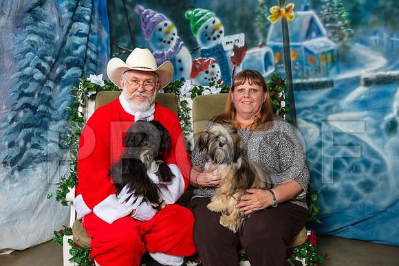 Havanese Tammy Thurs–_SR_5653-Dallas2019-HR3