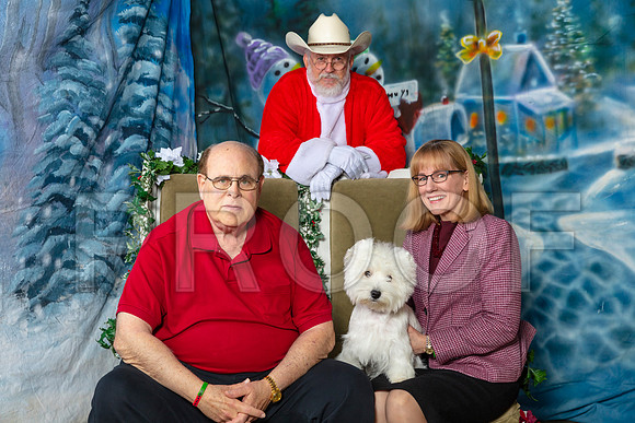 West Highland White Terrier Paula–_SR_5553-Dallas2019-HR3