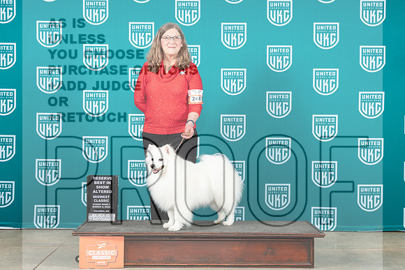 American Eskimo #248 Sun ARBIS Judge Dianna Allen__JP_1131_UKCMWC2024_HR3