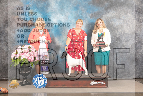 Smooth Fox Terrier #8 FRI G4 Judge Karen McFarlane_MJ_5713_Houston_2022_HR3