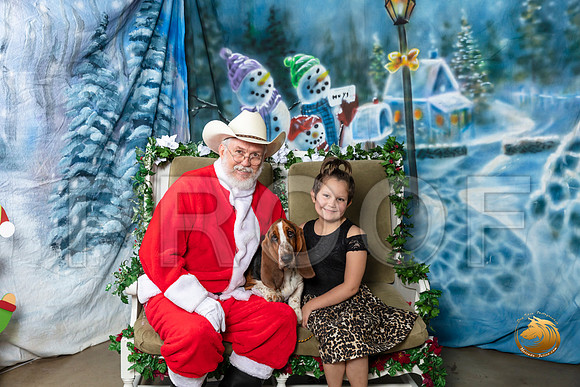 Basset Hound Fri–_SR_5744-Dallas2019-HR3