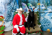 Belgian Sheepdog Fri 2