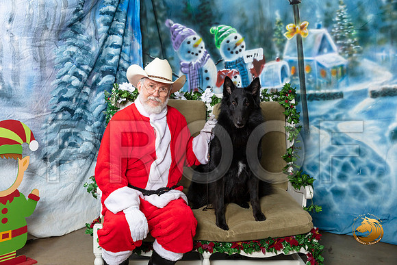 Belgian Sheepdog Fri 2–_SR_5831-Dallas2019-HR3