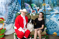 Border Collie Fri 2