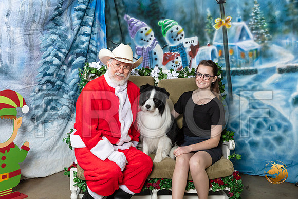 Border Collie Fri 2–_SR_5857-Dallas2019-HR3