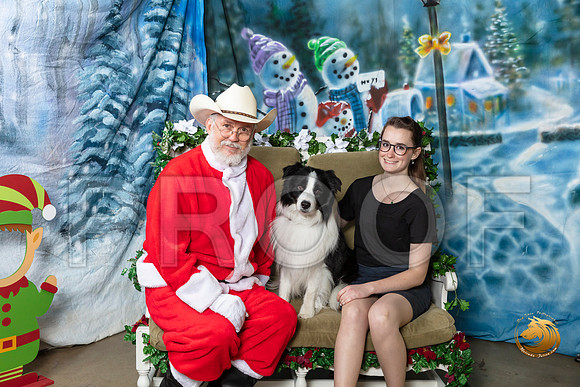 Border Collie Fri 2–_SR_5858-Dallas2019-HR3
