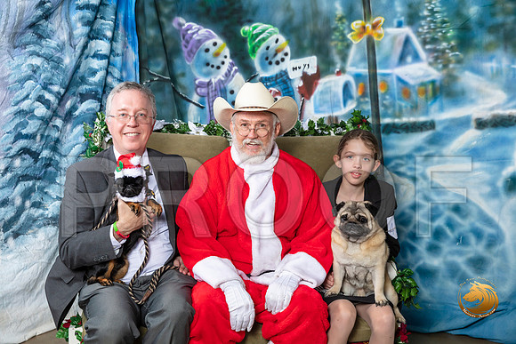 Brussels Griffon Pug Robert Samson–_SR_5724-Dallas2019-HR3