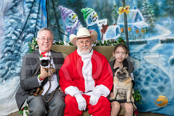 Brussels Griffon Pug Robert Samson–_SR_5726-Dallas2019-HR3