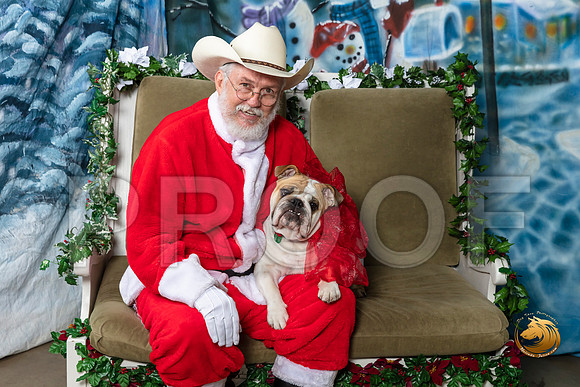 Bulldog Talula Fri–_SR_5703-Dallas2019-HR3