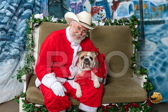 Bulldog Talula Fri–_SR_5705-Dallas2019-HR3