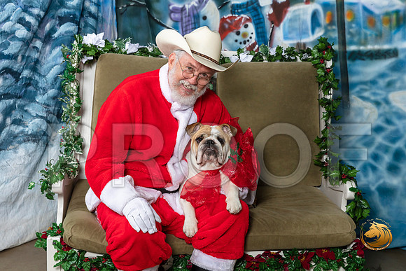Bulldog Talula Fri–_SR_5706-Dallas2019-HR3