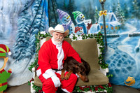 Doberman Pinscher Fri Santa