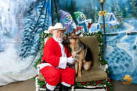 German Shepherd Dog Fri