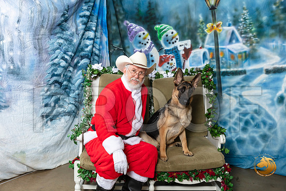 German Shepherd Dog Fri–_SR_5798-Dallas2019-HR3