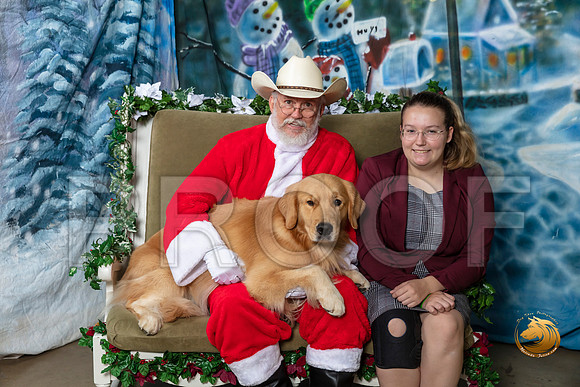 Golden Retriever Fri Anna–_SR_5671-Dallas2019-HR3