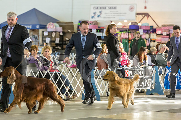 Golden Retriever Fri Group–JJL_0147-Dallas2019-HR3