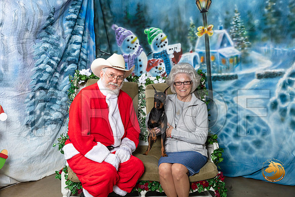 Manchester Terrier Fri Barbara Wood–_SR_5778-Dallas2019-HR3