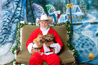 Norwich Terrier Fri 1