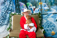 Norwich Terrier Fri 2