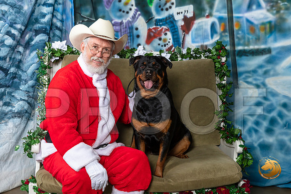 Rottweiler  Fri–_SR_5694-Dallas2019-HR3