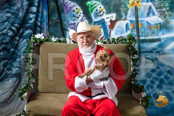 Yorkshire Terrier Cory–_SR_5755-Dallas2019-HR3