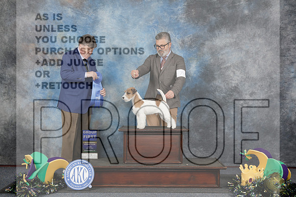 Russle Terrier #7 Fri G1 Judge Charles Olvis_WP_1990-Alexandria 2025-HR3