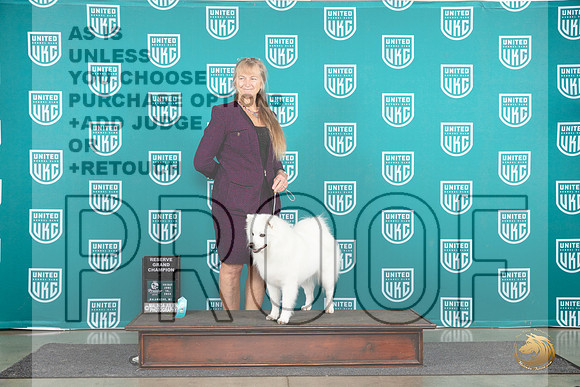 American Eskimo #1063 RGCH Judge Stephanie Mueller__JP_1535_Premier_2024_HR3