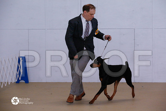 Dobe-6059-HtoJan14-HR