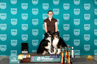 Australian Shepherd #107 see note