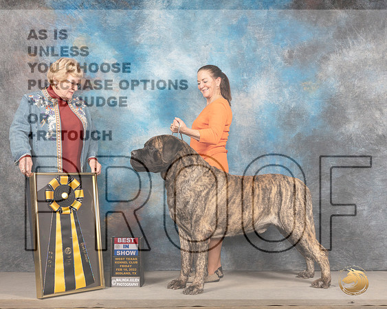 Mastiff #5 Fri BIS Judge Judy BrownMMJ_3715_Mdlnd2022_HR3