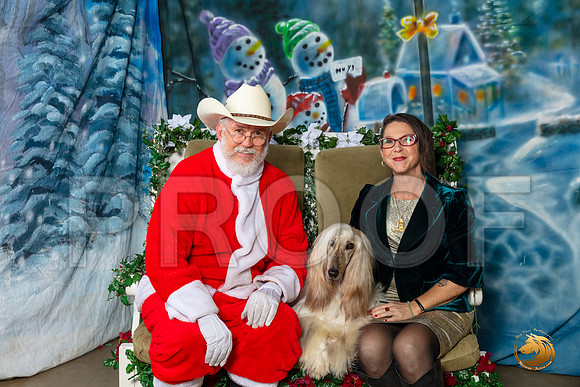 Afghan Hound 2 Sat–_SR_6225-Dallas2019-HR3