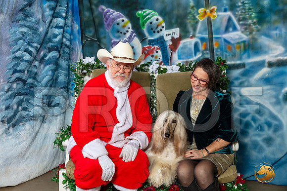 Afghan Hound 2 Sat–_SR_6228-Dallas2019-HR3