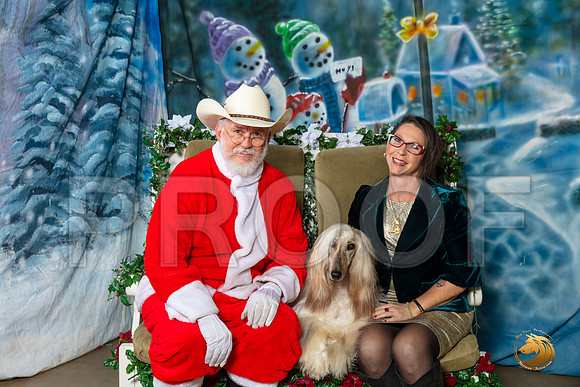 Afghan Hound 2 Sat–_SR_6226-Dallas2019-HR3
