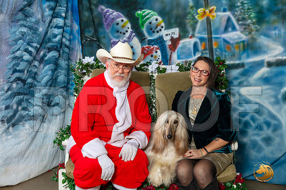 Afghan Hound 2 Sat–_SR_6229-Dallas2019-HR3