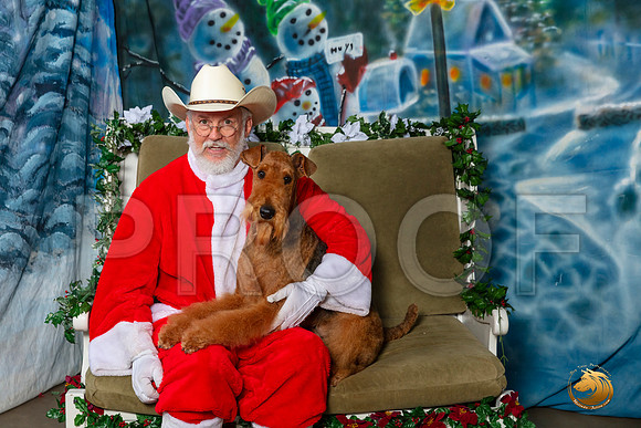 Airedale Sat 2–_SR_6066-Dallas2019-HR3