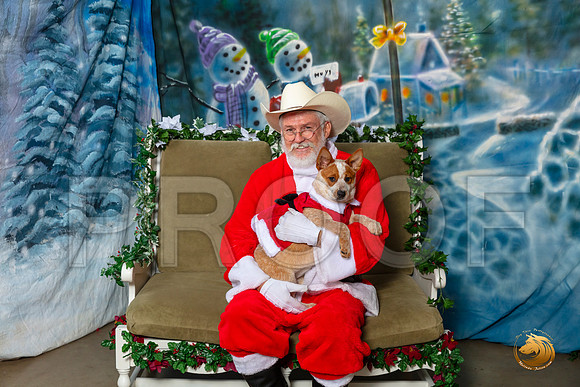 Australian Cattle Dog Barbie Sat–_SR_5972-Dallas2019-HR3