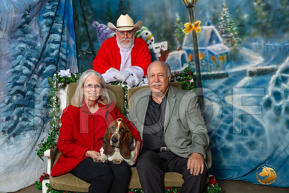 Basset Hound Bella Sat–_SR_5912-Dallas2019-HR3