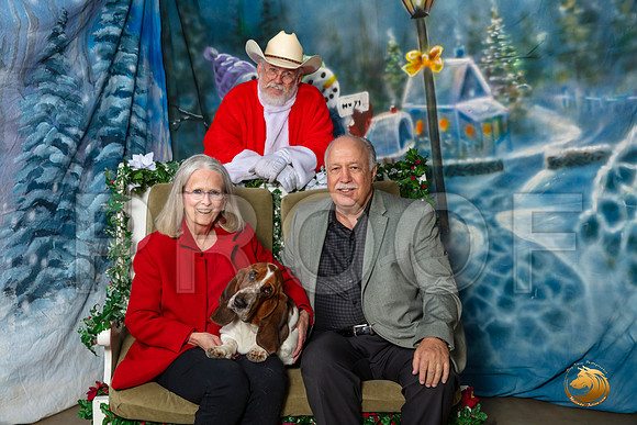 Basset Hound Bella Sat–_SR_5913-Dallas2019-HR3