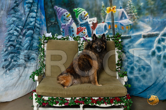 Belgian Tervuren Sat 2 of 3–_SR_5962-Dallas2019-HR3