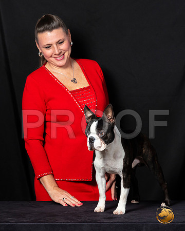 Boston Terrier Sat–_SR_6099-Dallas2019-HR3