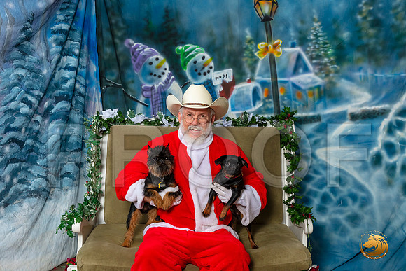 Brussels Griffons Sat–_SR_6089-Dallas2019-HR3
