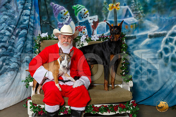 Doberman Pinscher Mini Bull Sat–_SR_6053-Dallas2019-HR3