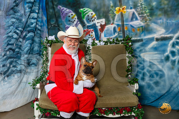 French Bulldog Sat 1–_SR_5942-Dallas2019-HR3