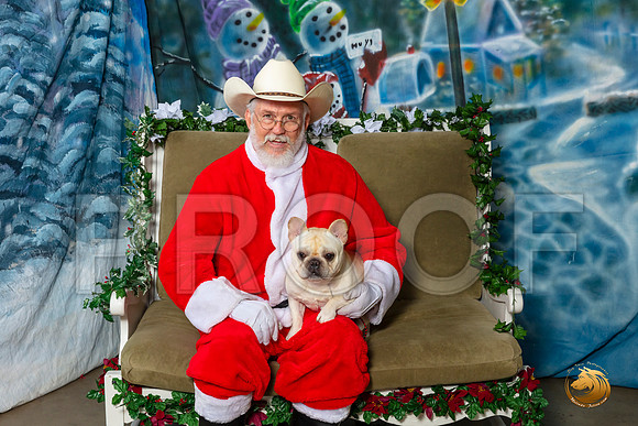 French Bulldog Sat 5–_SR_5981-Dallas2019-HR3