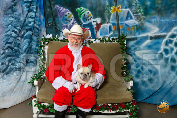 French Bulldog Sat 5–_SR_5982-Dallas2019-HR3
