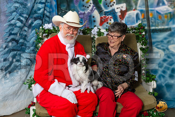 Japanese Chin Jan Sat–_SR_5921-Dallas2019-HR3