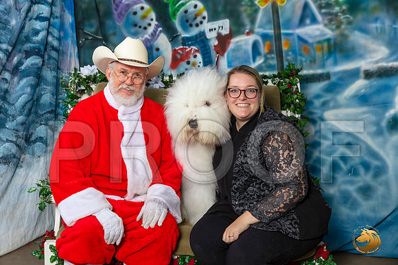 Old English Sheepdog Sat–_SR_6070-Dallas2019-HR3
