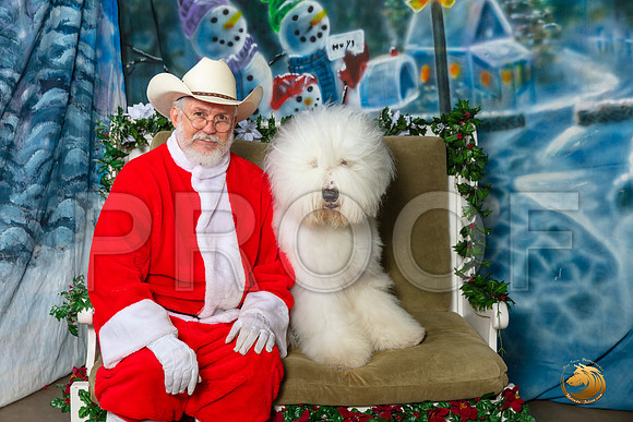 Old English Sheepdog Sat–_SR_6074-Dallas2019-HR3